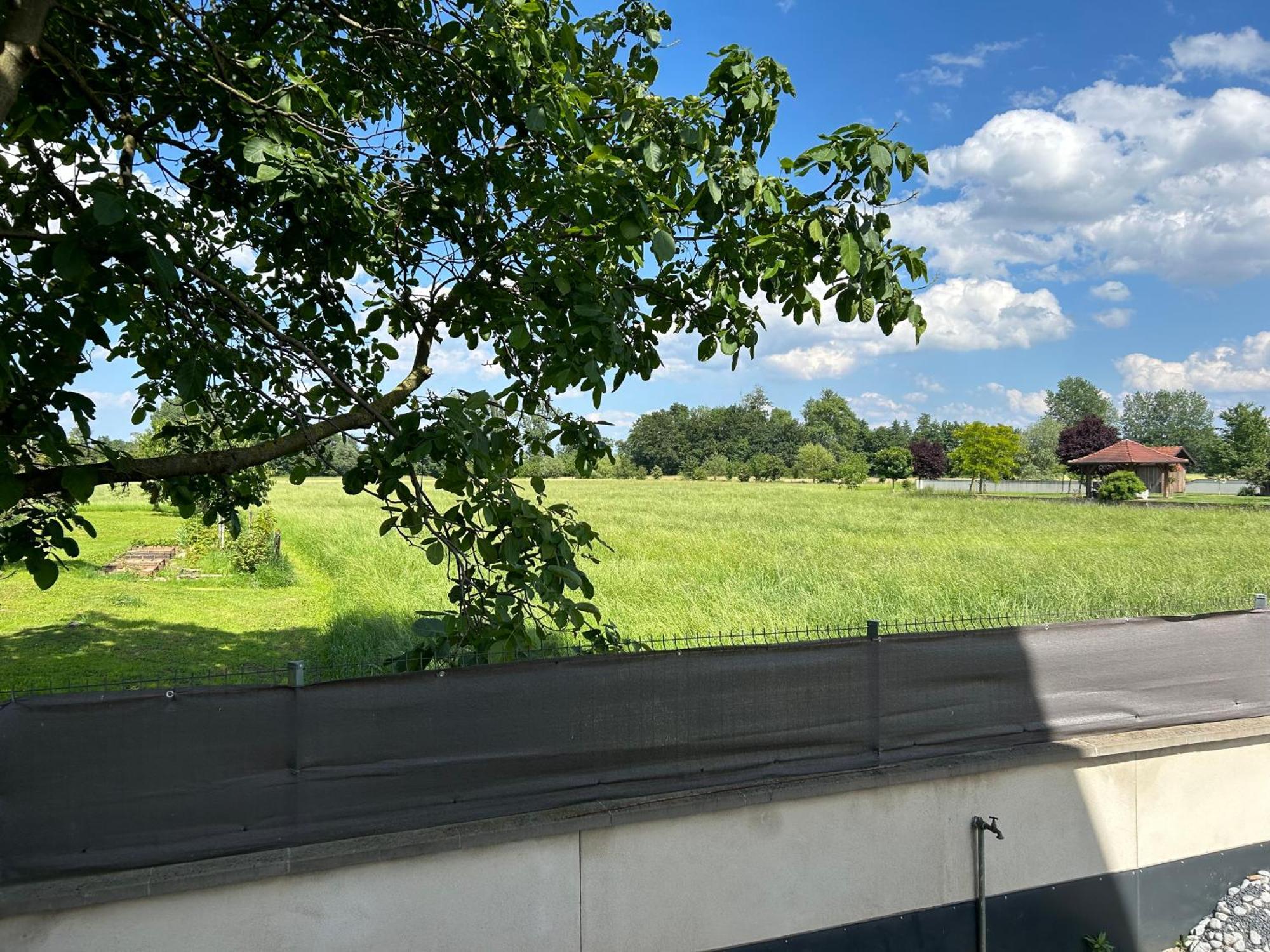 Charmant Studio Avec Terrasse Ebersheim Exterior photo